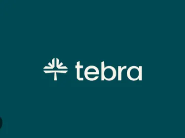 Tebra software logo